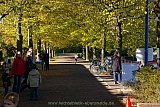 Zainhammerlauf