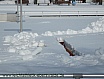 Winterlauf