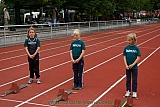 Familiensportfest