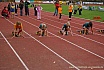 Herbstsportfest