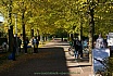 Zainhammerlauf