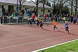 Fr&uuml;hjahrssportfest / Kreismeisterschaften