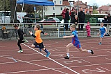 Fr&uuml;hjahrssportfest / Kreismeisterschaften