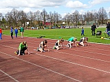 Fr&uuml;hjahrssportfest / Kreismeisterschaften