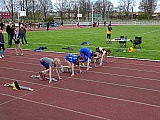 Fr&uuml;hjahrssportfest / Kreismeisterschaften