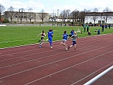 Fr&uuml;hjahrssportfest / Kreismeisterschaften