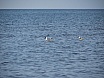 Trainingslager an der Ostsee