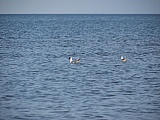 Trainingslager an der Ostsee